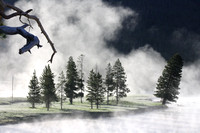 Fogging morning in Yellowstone