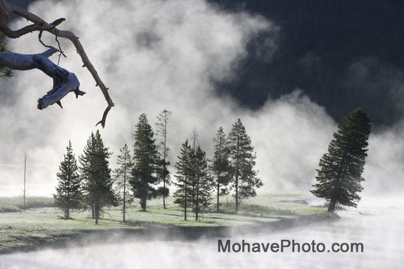 Fogging morning in Yellowstone